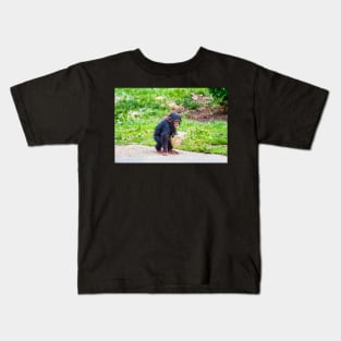 Young chimpanzee out walking Kids T-Shirt